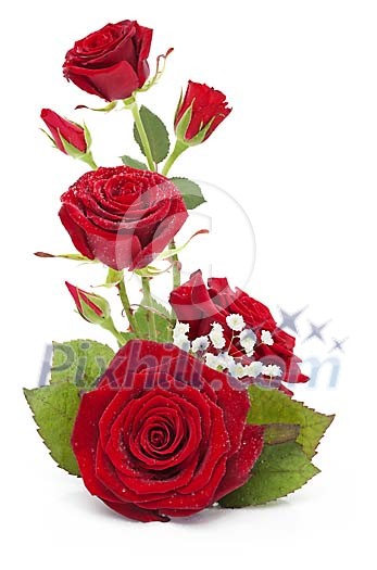 Bouquet of roses on a white background Bouquet of roses on a white background