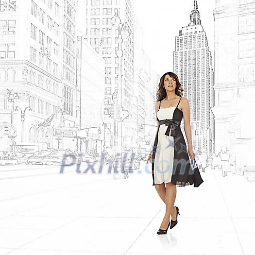Beautiful lady in New York Beautiful lady in New York