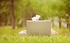 Woman lying on grass and using her laptop