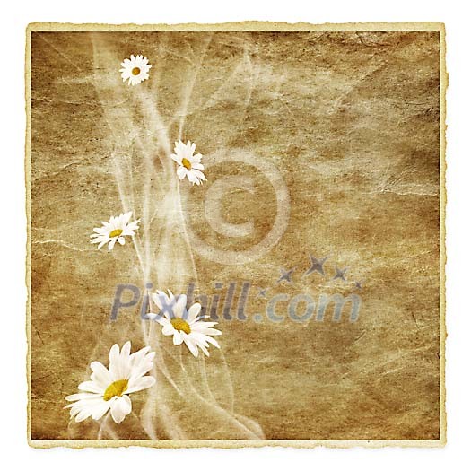 Clipped old postcard with daisies Clipped old postcard with daisies