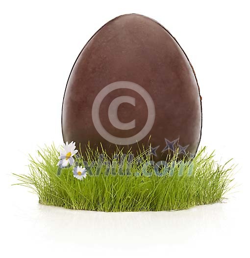 Easter chocolate egg on the grass Easter chocolate egg on the grass
