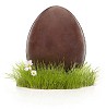 Easter chocolate egg on the grass