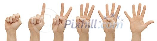 Clipped male hand showing numbers with fingers Clipped male hand showing numbers with fingers