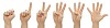 Clipped male hand showing numbers with fingers