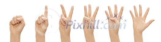 Clipped female hands showing numbers with fingers Clipped female hands showing numbers with fingers