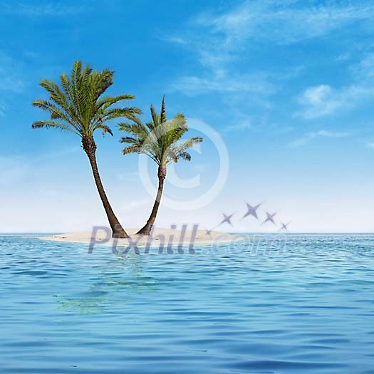 Two palmtrees on a small island in the middle of the sea Two palmtrees on a small island in the middle of the sea