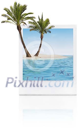 Polaroid of a island and trees growing out of the frame Polaroid of a island and trees growing out of the frame
