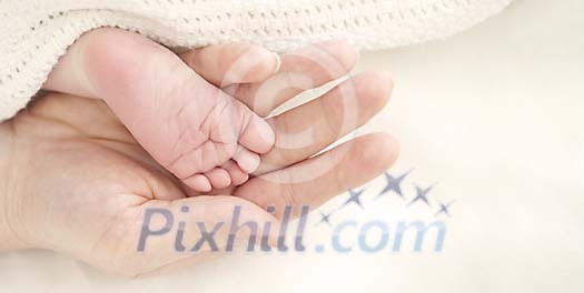Mamas hand holding babys tiny foot Mamas hand holding babys tiny foot