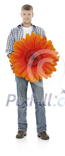 Man holding a giant Gerbera, hand made clipping path included Man holding a giant Gerbera, hand made clipping path included