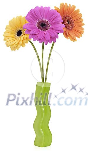 Yellow, violet and orange Gerbera in a green vase Yellow, violet and orange Gerbera in a green vase