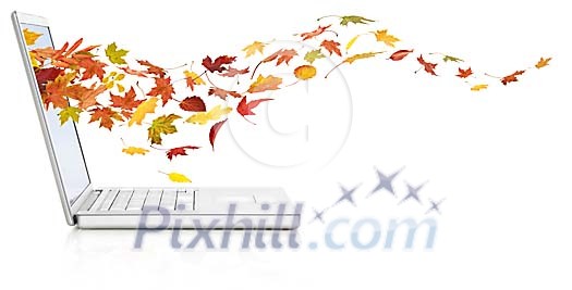 Autumn leaves coming out of laptop Autumn leaves coming out of laptop