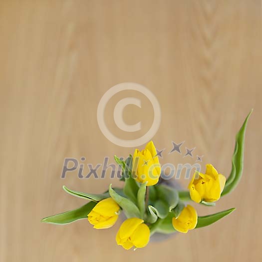 Yellow tulips in vase seen from above Yellow tulips in vase seen from above