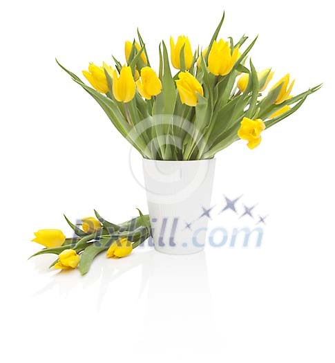 Yellow tulips in a white vase Yellow tulips in a white vase