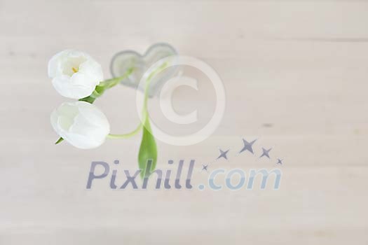 Two white tulips in heart shaped vase Two white tulips in heart shaped vase
