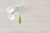 Two white tulips in heart shaped vase