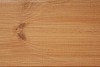 Wooden background