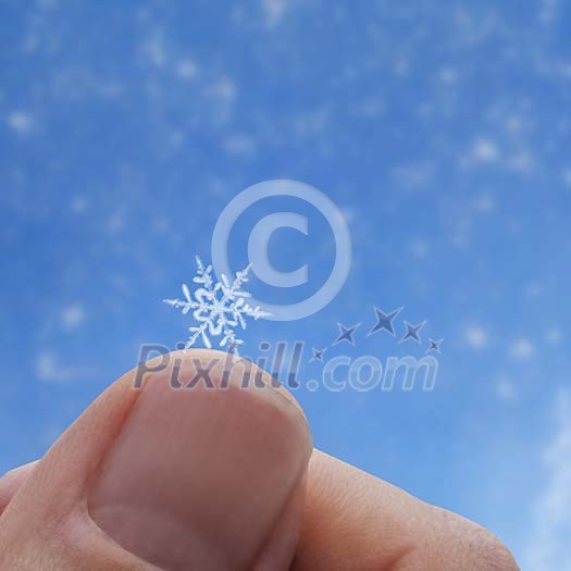 Snowflake on fingertip Snowflake on fingertip