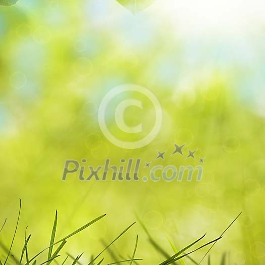 Nature background Nature background