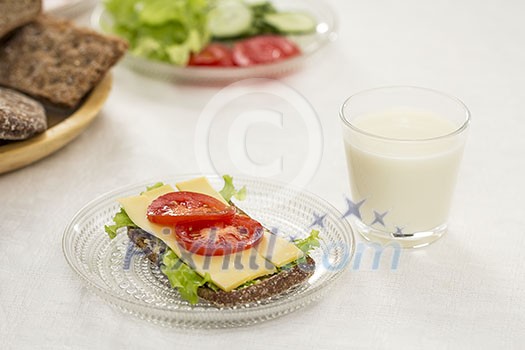 Sandwich with a glass of milk Sandwich with a glass of milk