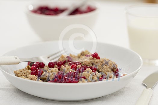 Oatmeal porridge with cowberries Oatmeal porridge with cowberries