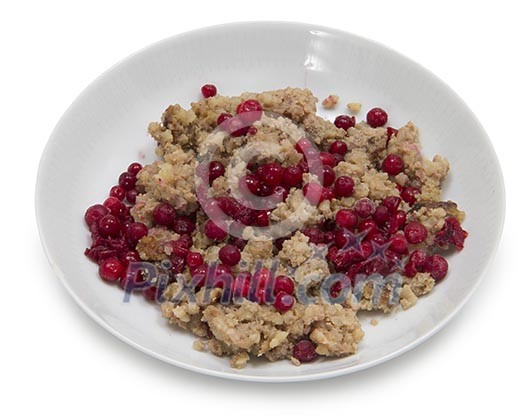 Isolated bowl of oatmeal porridge with cowberries Isolated bowl of oatmeal porridge with cowberries