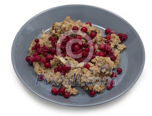 Isolated bowl of oatmeal porridge with cowberries Isolated bowl of oatmeal porridge with cowberries