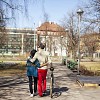 Couple walking in the park