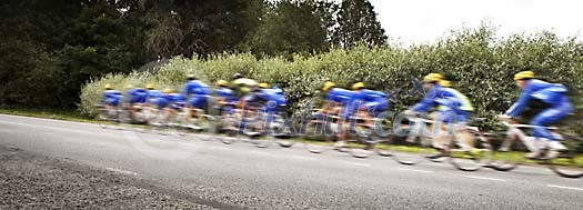 Group of bicycle riders on the road Group of bicycle riders on the road