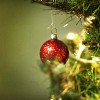 Red christmas ball on the tree