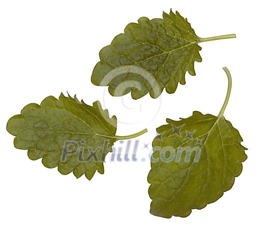Food Stock Images with clipping path Food Stock Images with clipping path