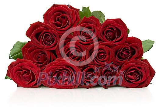 Clipped Flower Stock Images Clipped Flower Stock Images