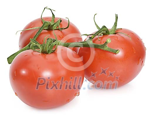 Food Stock Images with clipping path Food Stock Images with clipping path