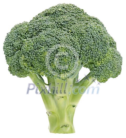 Food Stock Images with clipping path Food Stock Images with clipping path