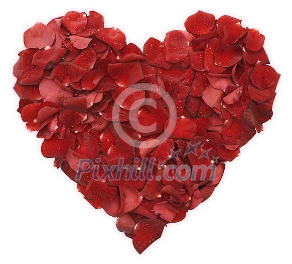 Clipped Flower Stock Images Clipped Flower Stock Images