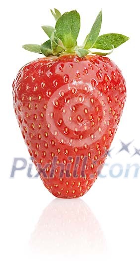 Download Clipped Stock Photos Download Clipped Stock Photos
