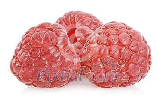 Food Stock Images with clipping path Food Stock Images with clipping path