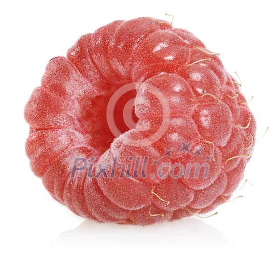Food Stock Images with clipping path Food Stock Images with clipping path