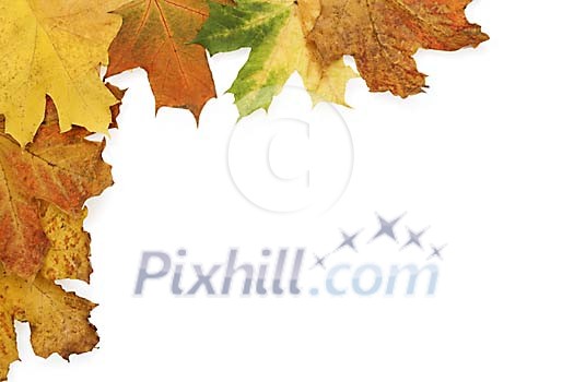 Background Stock Photos Subscription Background Stock Photos Subscription