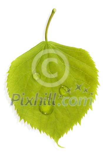 Download Clipped Stock Photos Download Clipped Stock Photos