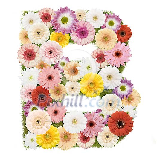 Clipped Flower Stock Images Clipped Flower Stock Images