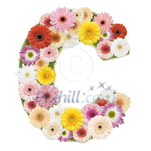Clipped Flower Stock Images Clipped Flower Stock Images