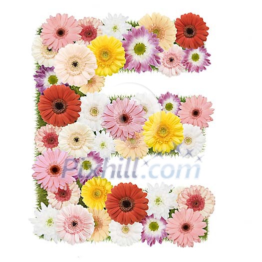 Clipped Flower Stock Images Clipped Flower Stock Images