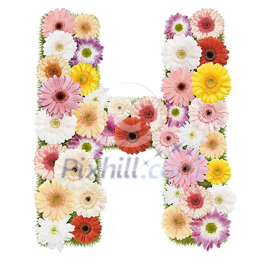 Clipped Flower Stock Images Clipped Flower Stock Images