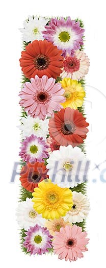 Clipped Flower Stock Images Clipped Flower Stock Images