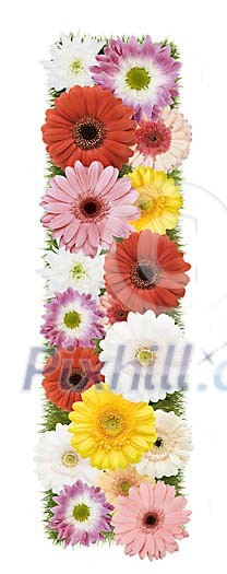 Clipped Flower Stock Images