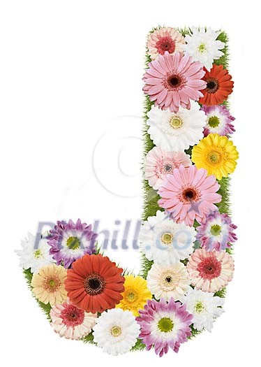 Clipped Flower Stock Images Clipped Flower Stock Images