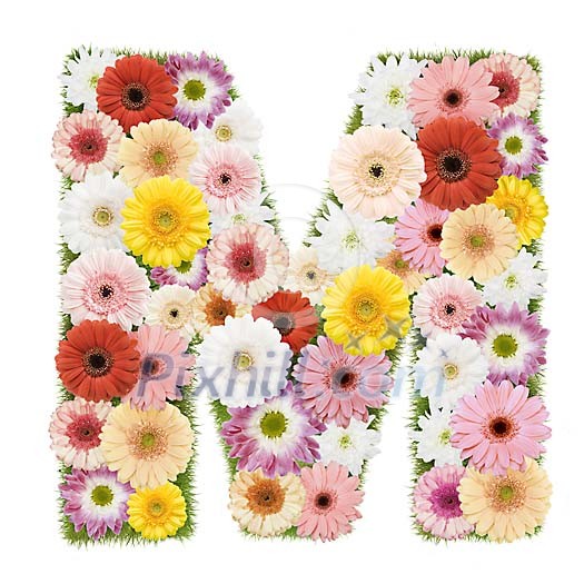 Clipped Flower Stock Images Clipped Flower Stock Images