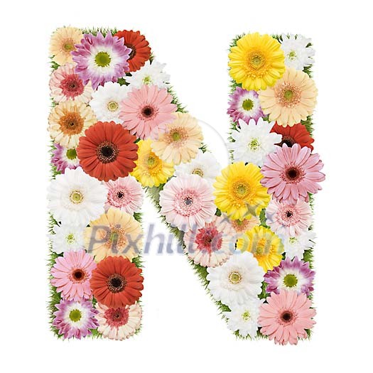 Clipped Flower Stock Images Clipped Flower Stock Images