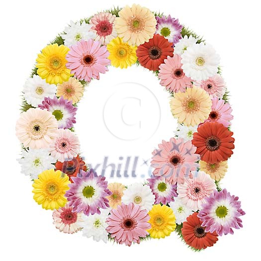 Clipped Flower Stock Images Clipped Flower Stock Images