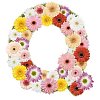 Clipped Flower Stock Images